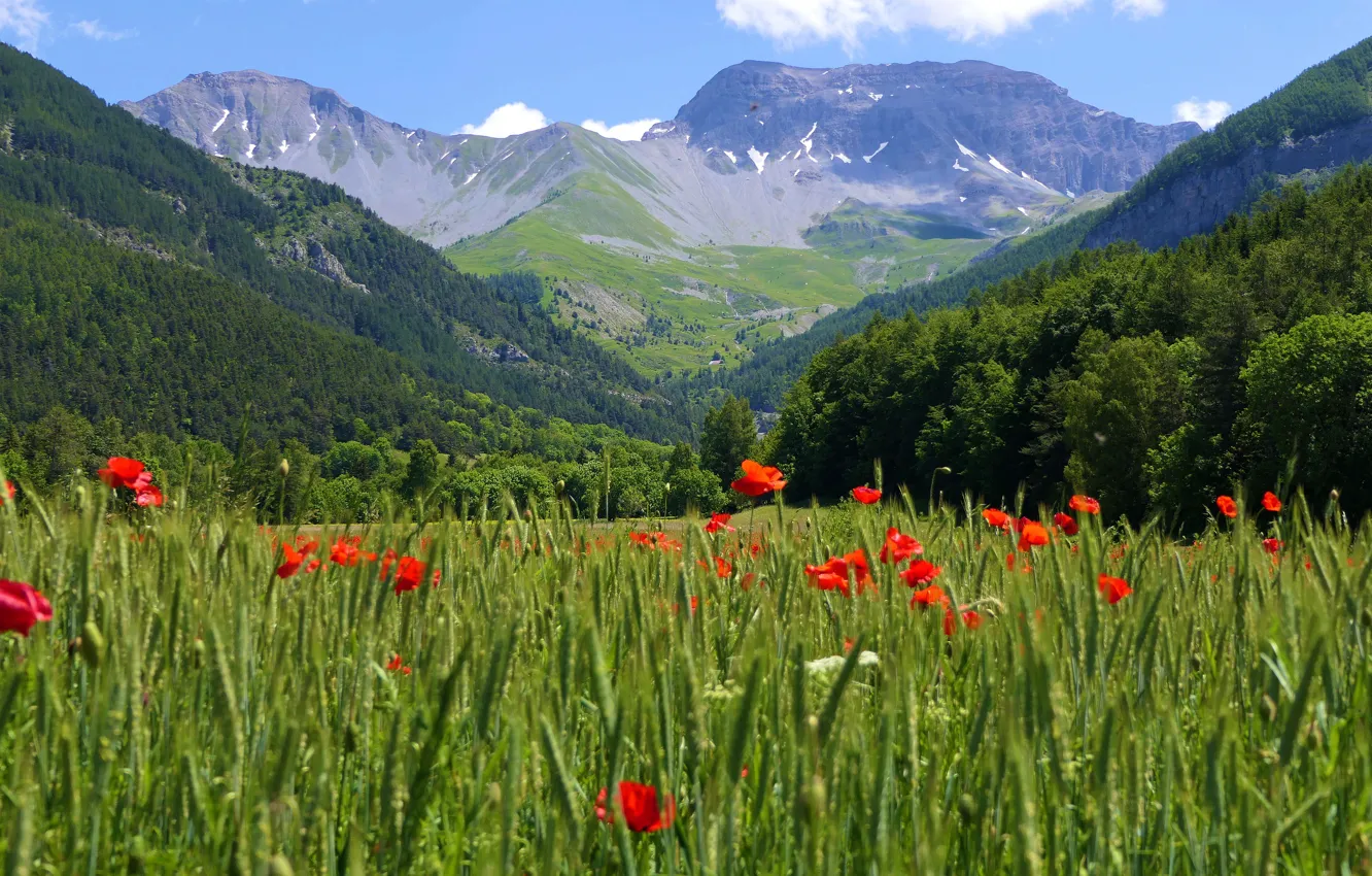 Photo wallpaper summer, mountains, Maki