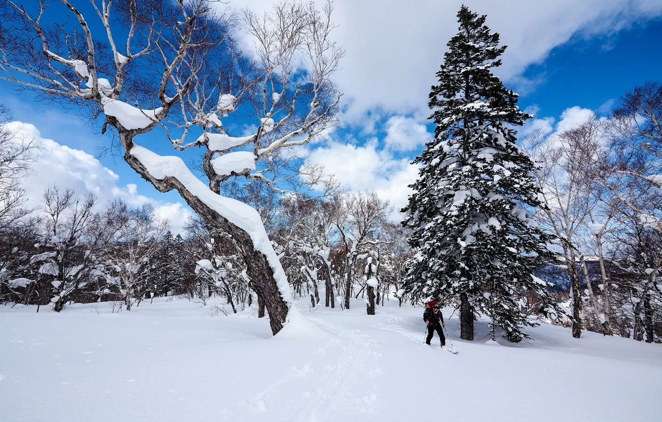 Photo wallpaper winter, forest, the sky, clouds, snow, trees, Japan, skier