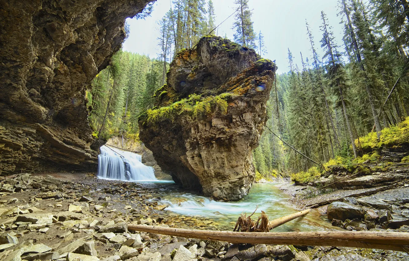 Photo wallpaper forest, mountains, river, rocks, waterfall, Canada, Albert, banff national park