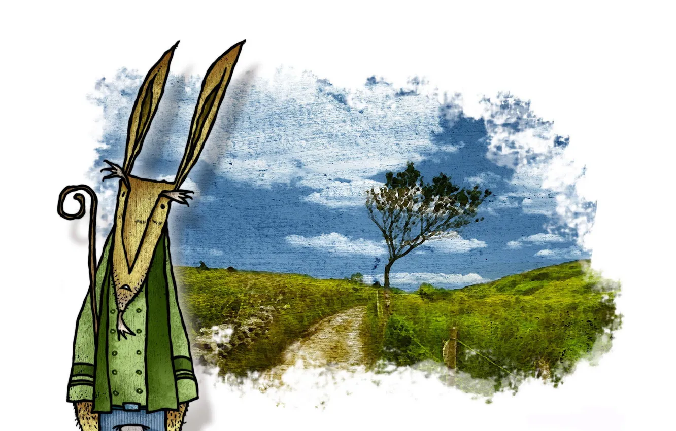 Photo wallpaper hare, picture, bristles