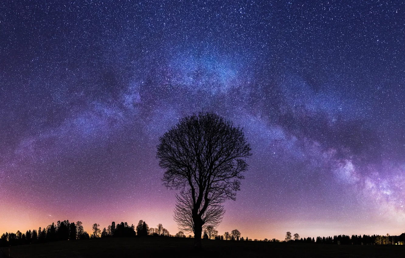 Photo wallpaper autumn, the sky, stars, trees, night, branches, silhouette, the milky way