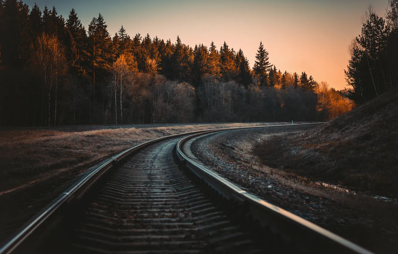 Photo wallpaper forest, sunset, nature, the way, sunrise, dawn, plant, rails