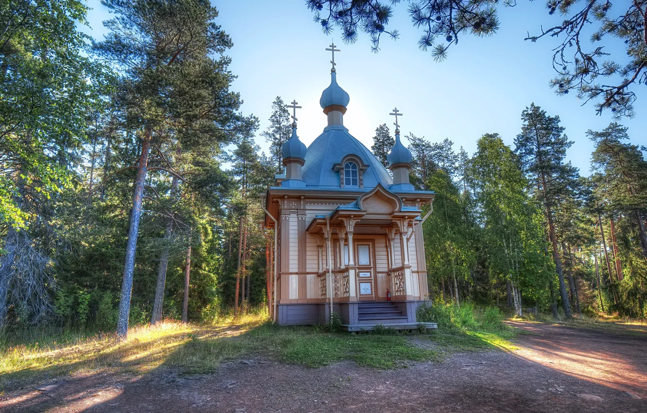 Photo wallpaper forest, the sun, trees, temple, Russia, Valaam Island