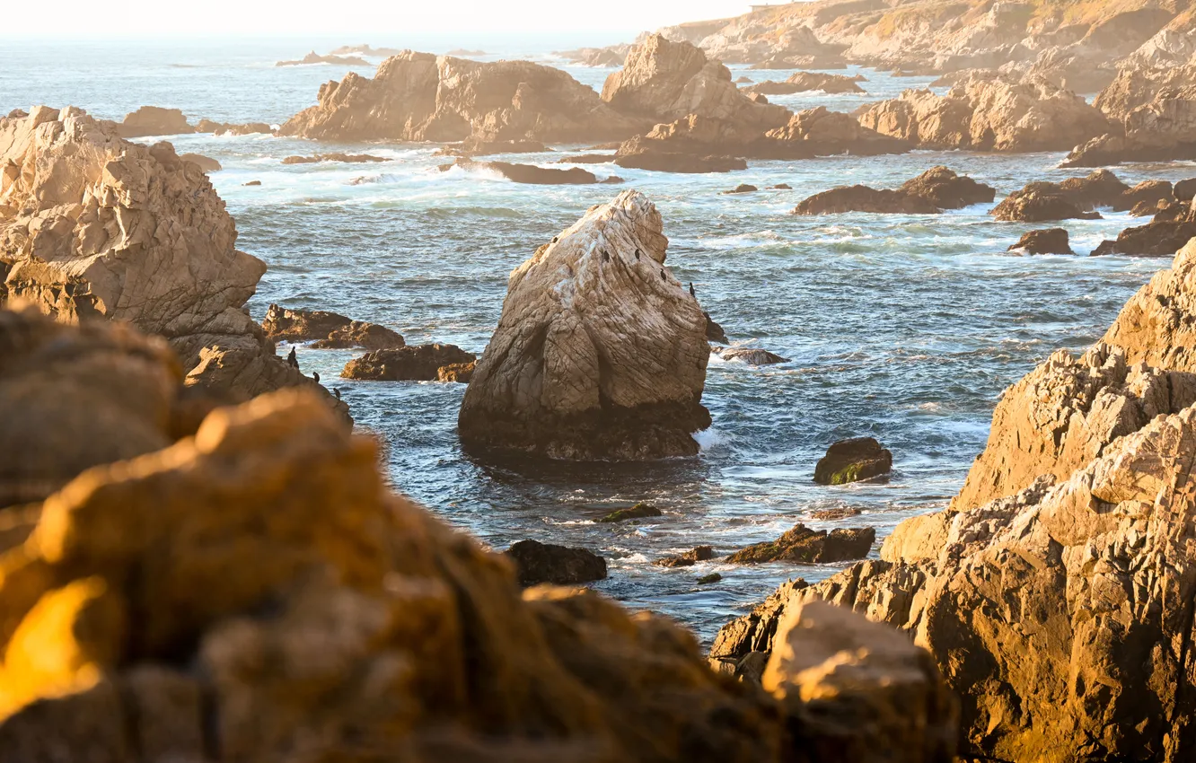 Photo wallpaper sea, rocks, CA, surf, USA, Big Sur, coastal area