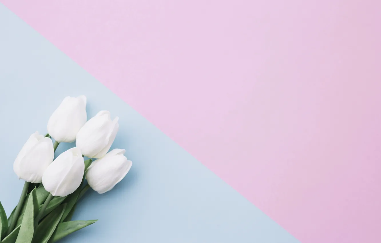 Photo wallpaper flowers, background, bouquet, tulips