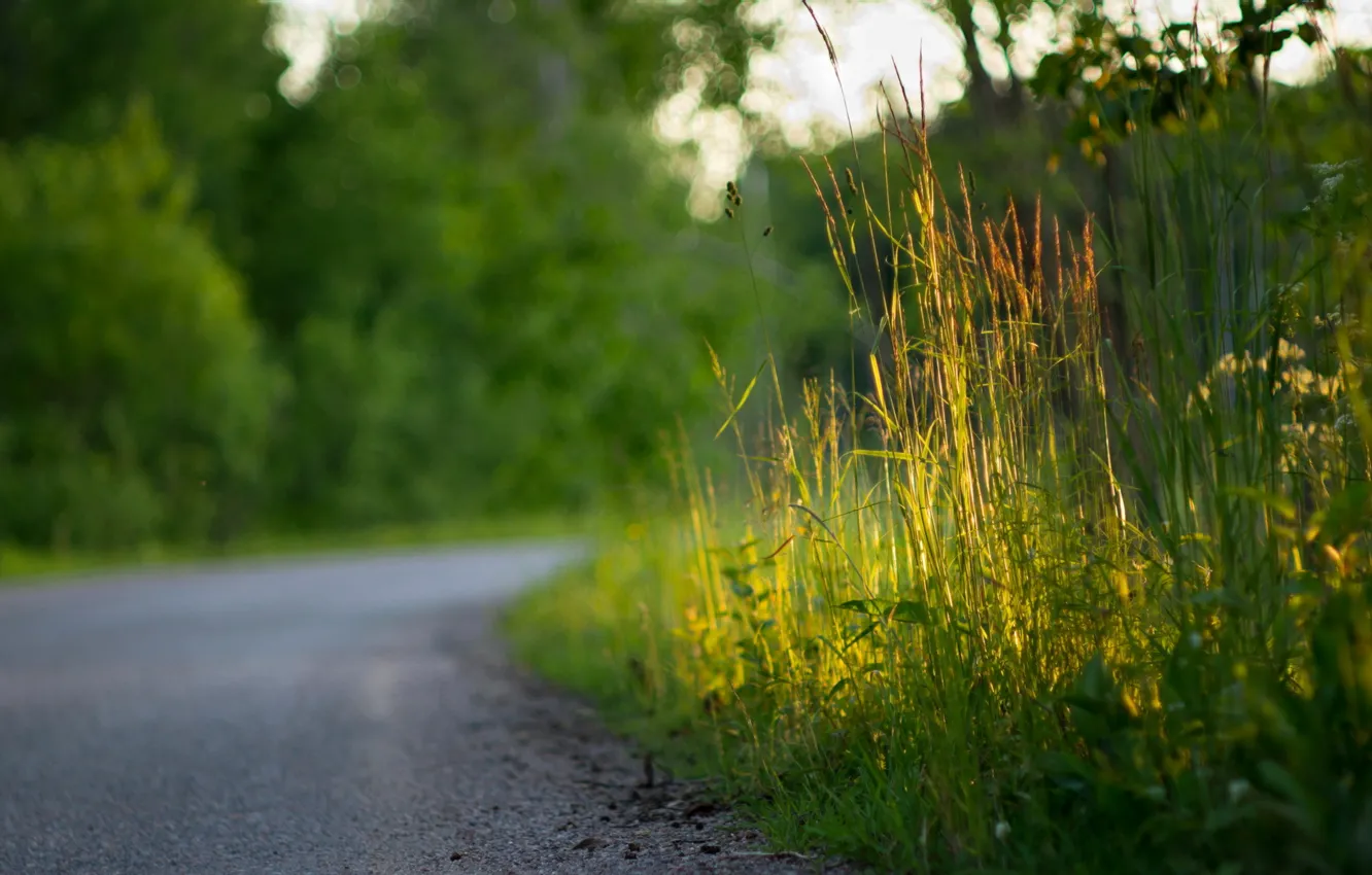 Photo wallpaper road, grass, macro