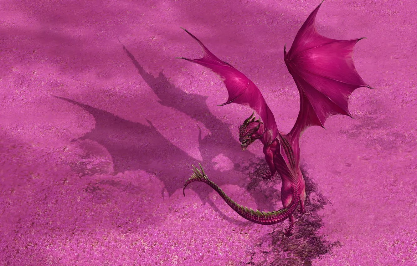 Photo wallpaper fiction, dragon, wings, fantasy, art, dragon, Illustration, Creatures