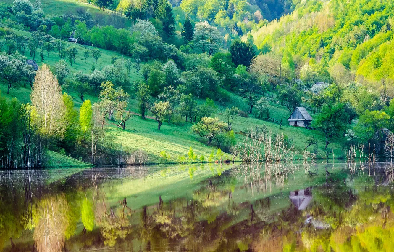 Photo wallpaper trees, lake, reflection, mountain, home, spring, slope