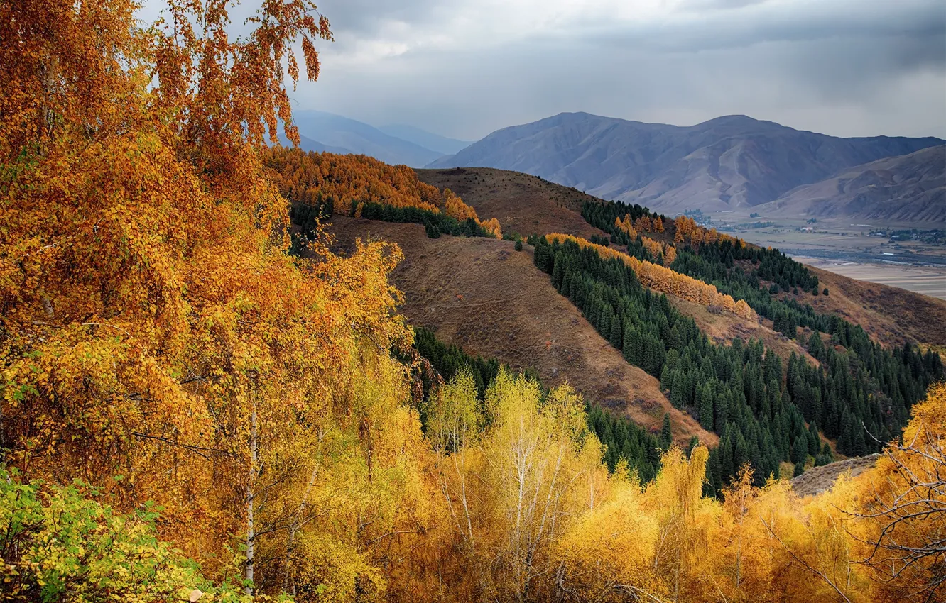 Photo wallpaper autumn, the sky, trees, mountains, hills, foliage, view, dal