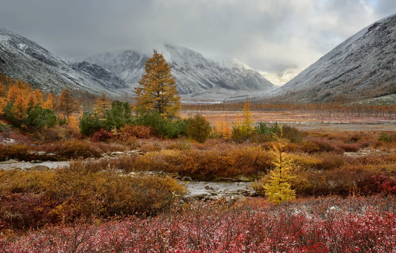 Photo wallpaper autumn, forest, trees, mountains, stream, hills, vegetation, ate