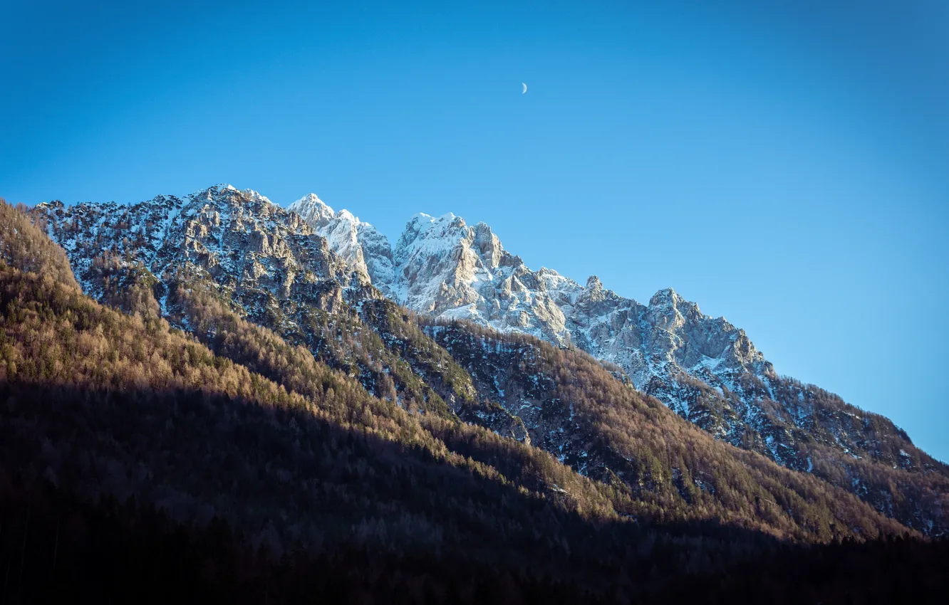 Photo wallpaper forest, the sky, snow, trees, mountains, nature, rocks, the moon