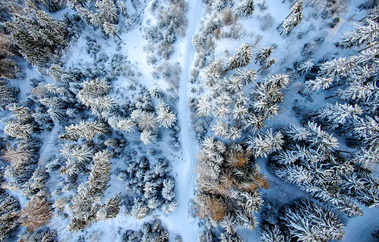 Photo wallpaper winter, road, forest, trees, landscape, nature, the view from the top