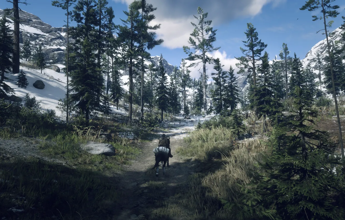 Photo wallpaper HDR, game, trees, nature, mountain, snow, horse, cold