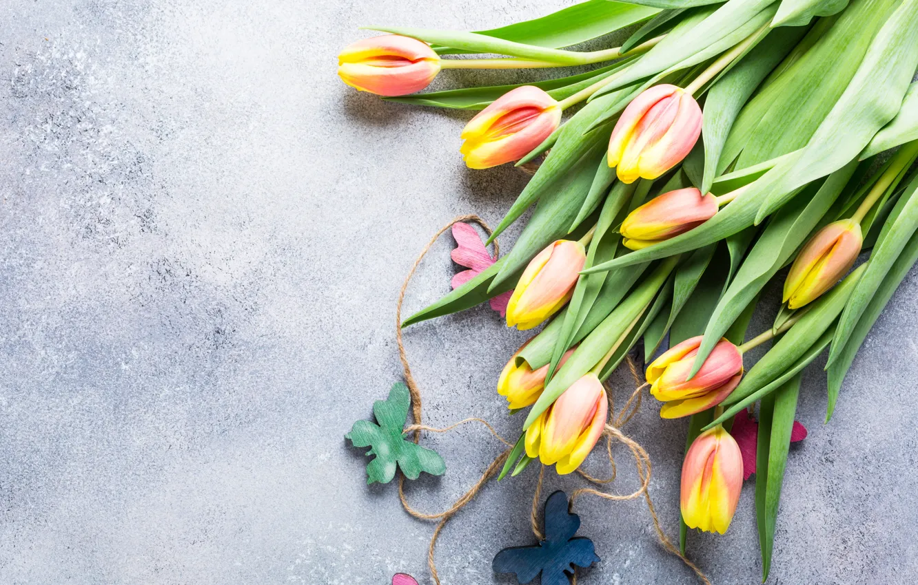 Photo wallpaper butterfly, bouquet, tulips, Iryna Melnyk