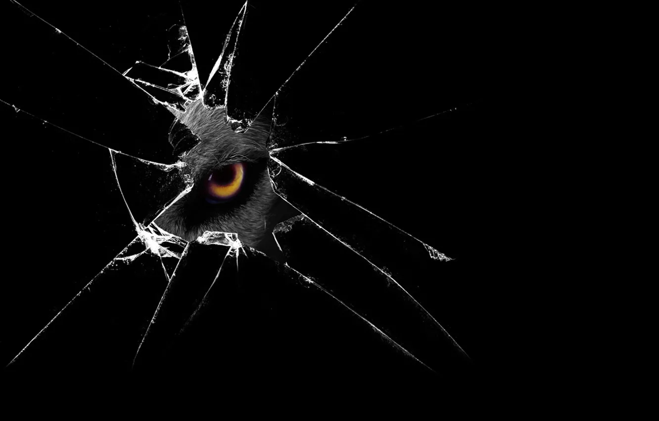 Photo wallpaper Desktop, glass, black, spy, eye, look, creature, Broken glass