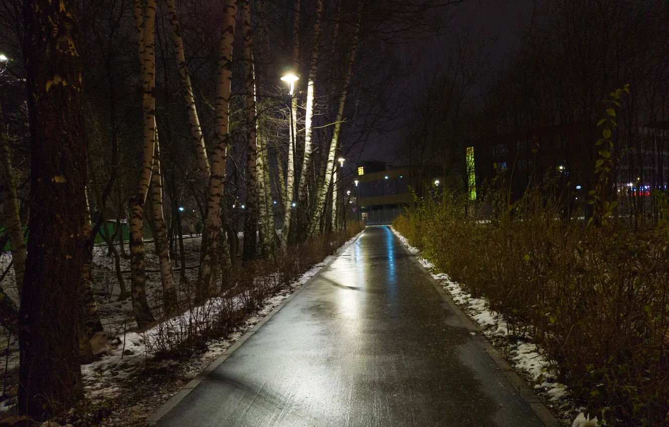 Photo wallpaper road, autumn, the sky, snow, trees, night, the building, lights