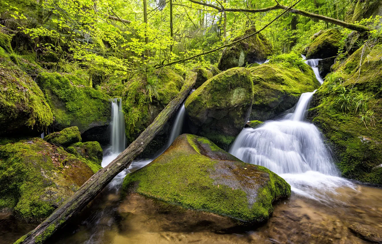 Photo wallpaper forest, stones, photo, waterfall, moss