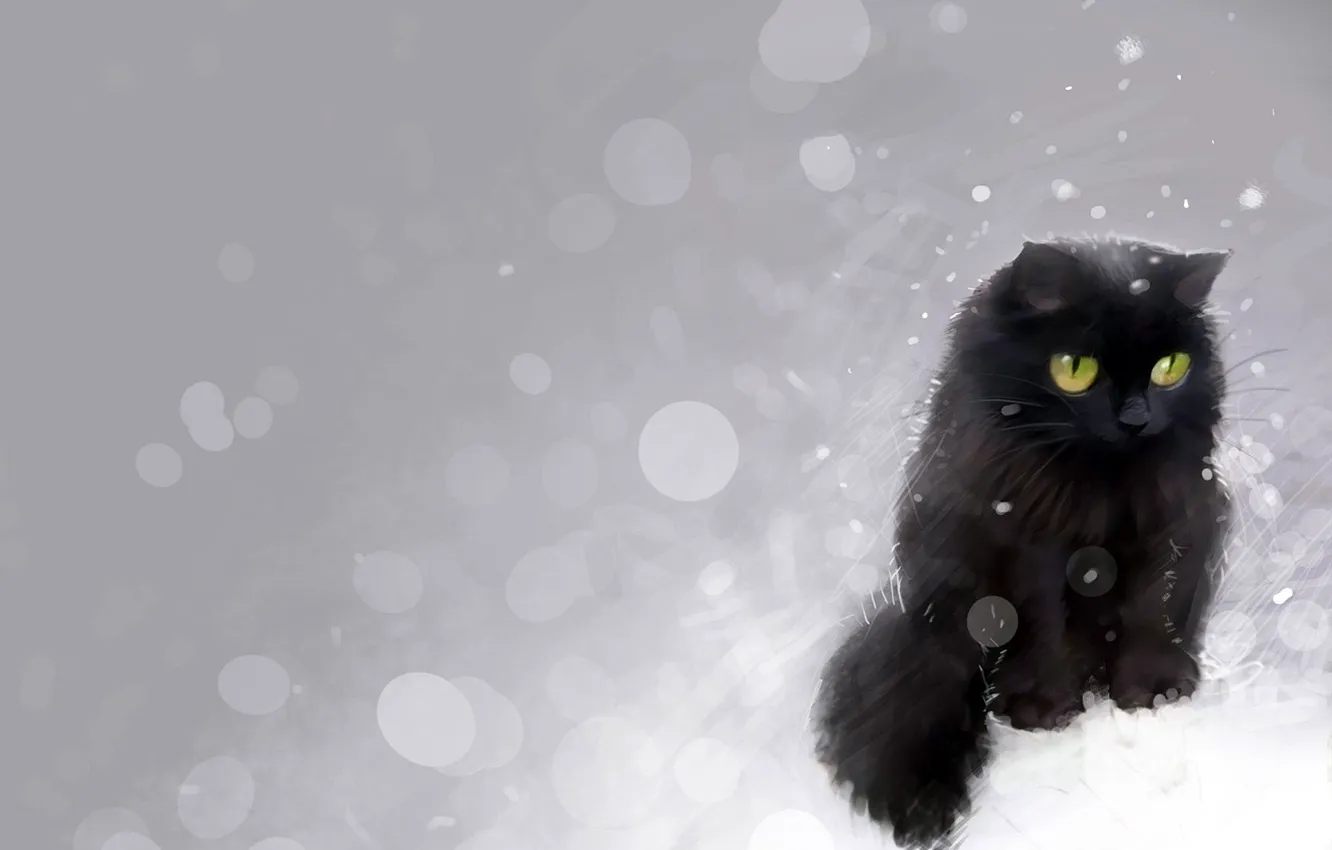 Photo wallpaper glare, black, Cat, pictured