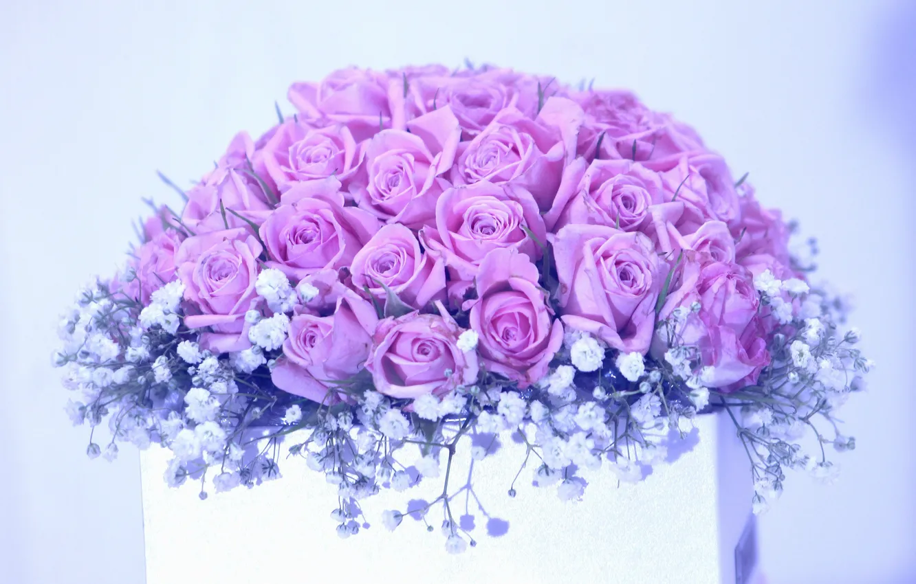 Photo wallpaper flowers, box, roses, bouquet, pink, light background, lilac