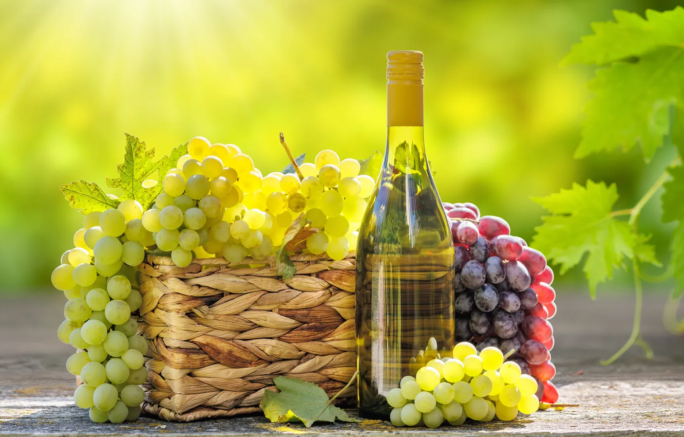 Photo wallpaper green, summer, landscape, nature, wine, autumn, leaves, fruit