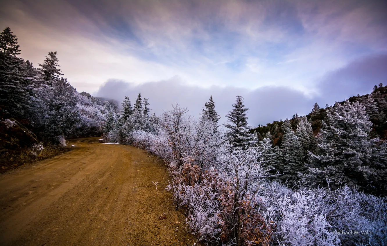 Photo wallpaper frost, road, trees, landscape