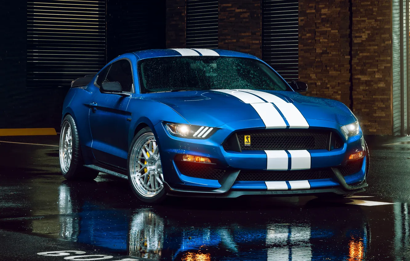 Photo wallpaper car, Ford, Shelby, Ford Mustang, wet, blue cars, reflection, muscle cars