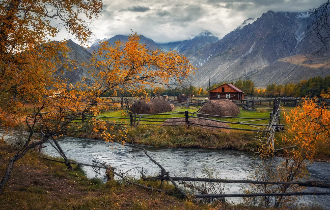 Photo wallpaper landscape, nature, river, The Altai Mountains, Laura Pavlova, Argut village