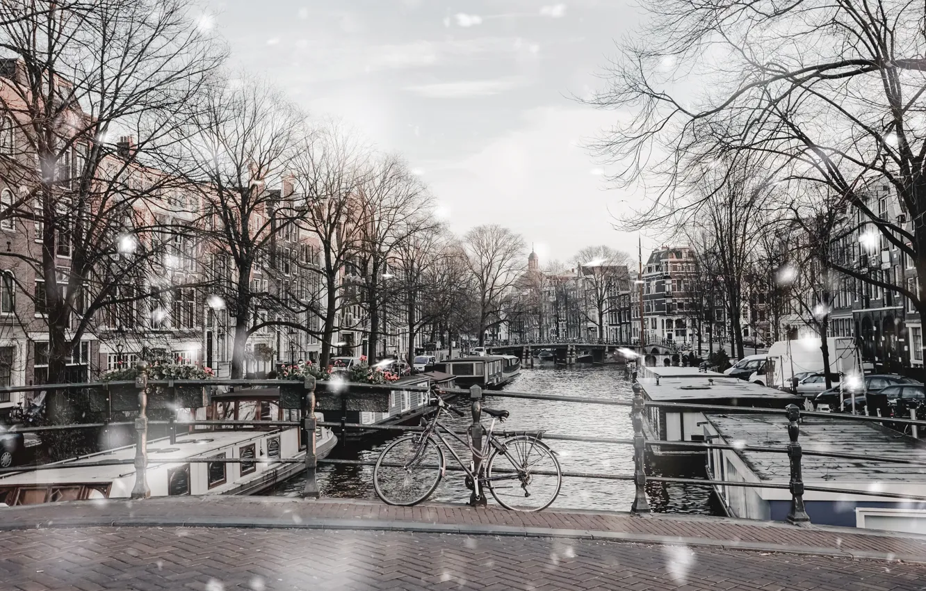 Photo wallpaper trees, bridge, river, street, Winter, Snow, Amsterdam