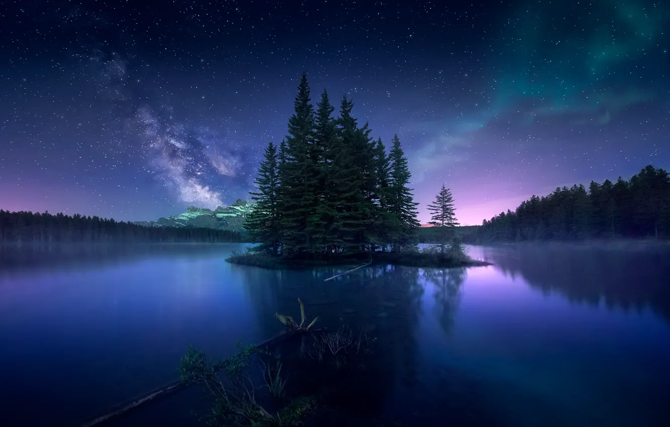 Photo wallpaper forest, the sky, night, Northern lights, Canada