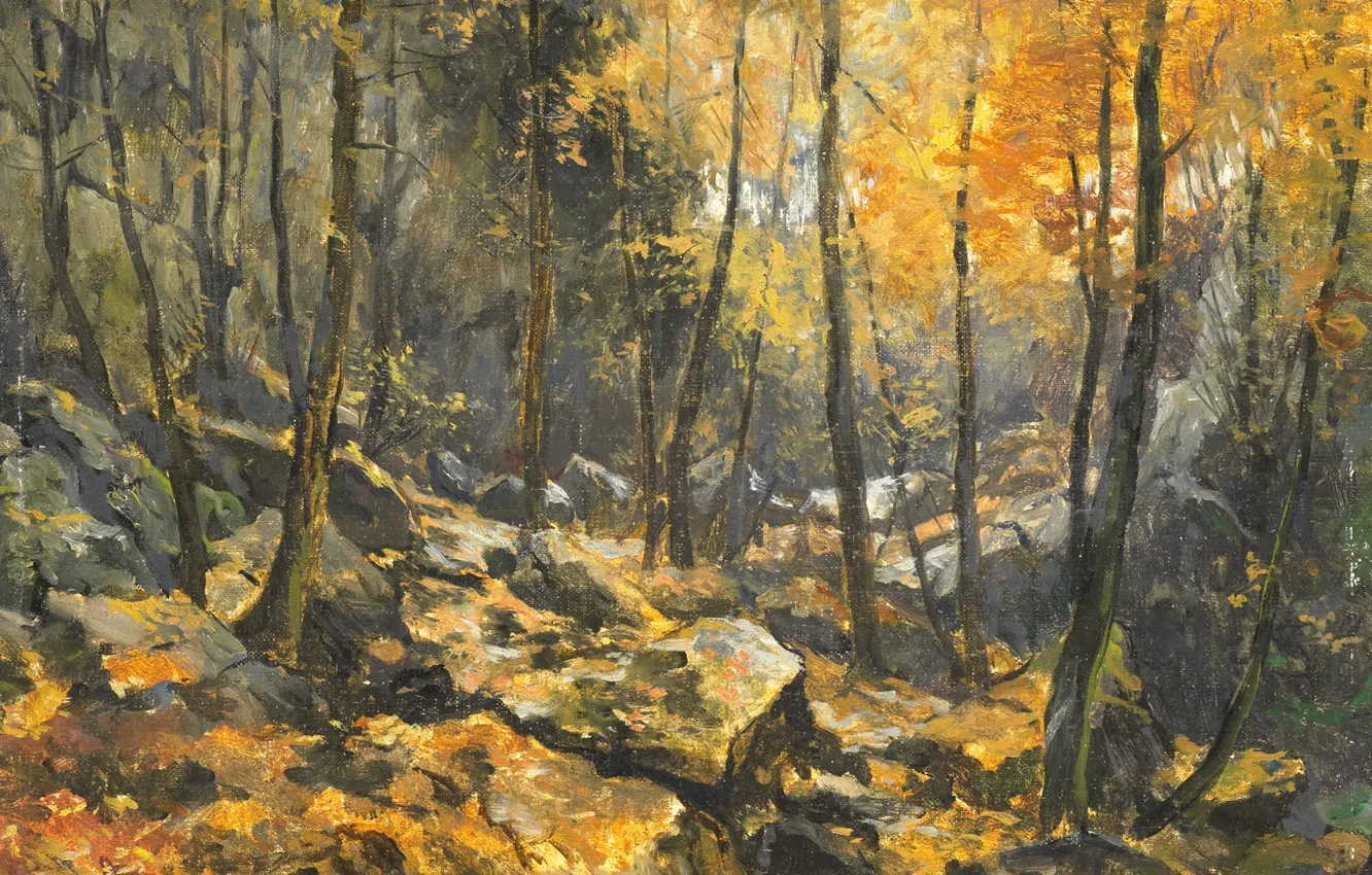 Photo wallpaper landscape, picture, Egbert Cheap, The Forest Among The Rocks