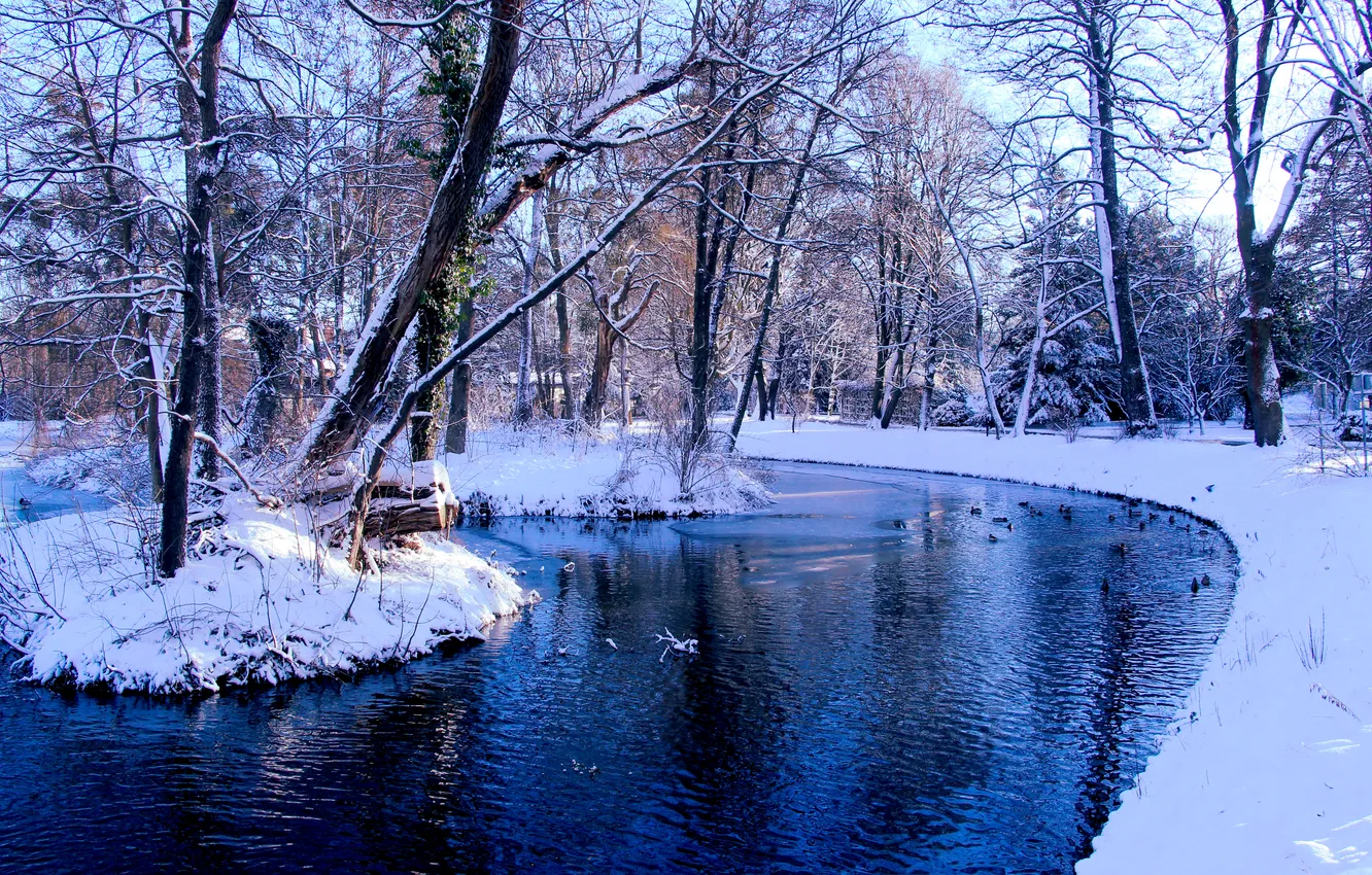 Photo wallpaper park, winter, snow, pond