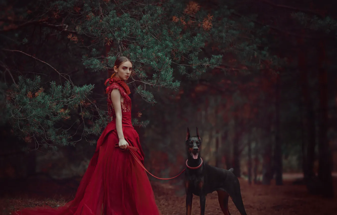Photo wallpaper forest, girl, branches, style, dog, dress, red dress, pine
