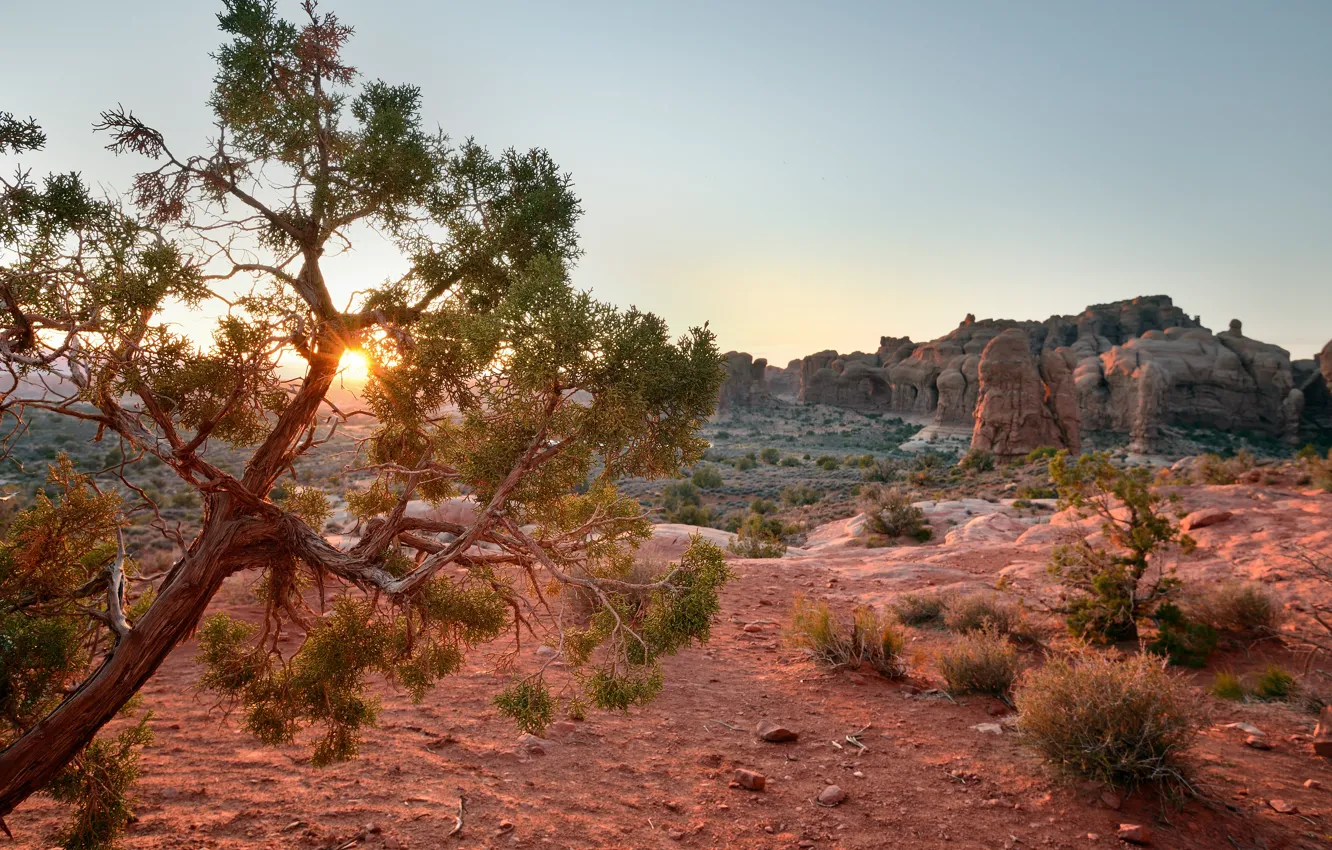 Photo wallpaper the sun, trees, sunset, Utah, USA