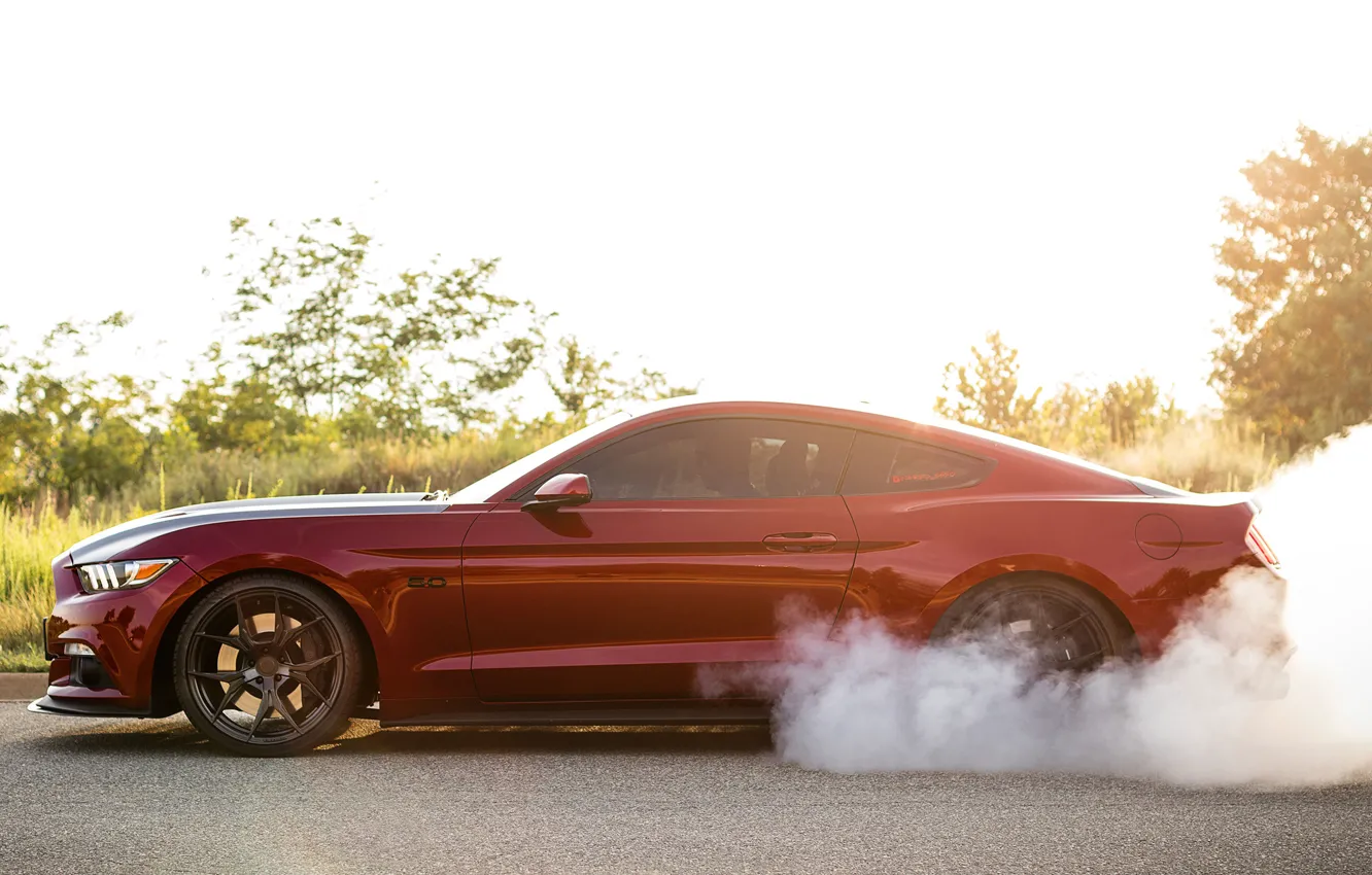 Photo wallpaper Mustang, Ford, Speed, Smoke, Muscle car, Road