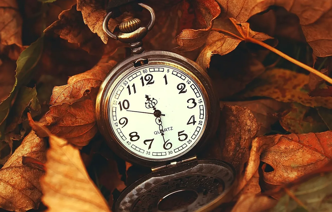 Photo wallpaper leaves, watch, dry, maple, vintage, vintage, pocket watch, pocket watch