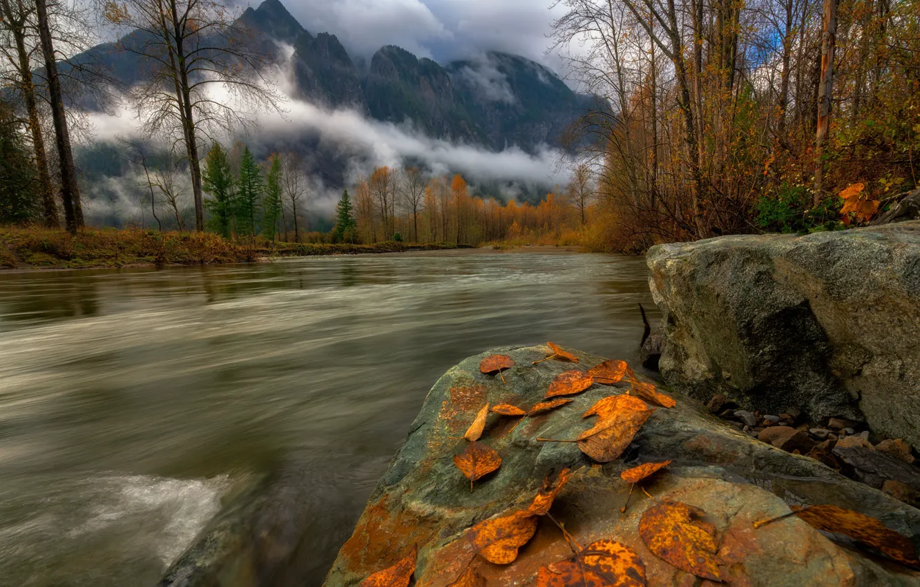 Photo wallpaper autumn, stones, shore, pond, autumn leaves