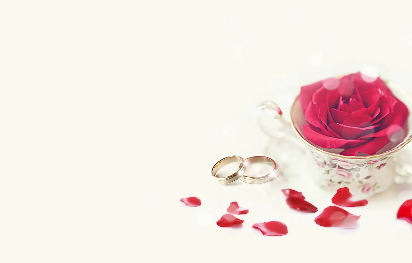 Photo wallpaper holiday, rose, wedding, rose petals, engagement rings