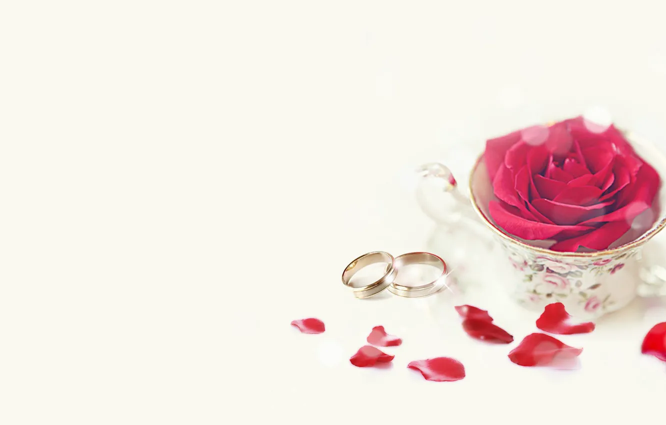 Photo wallpaper holiday, roses, rose petals, wedding, engagement rings