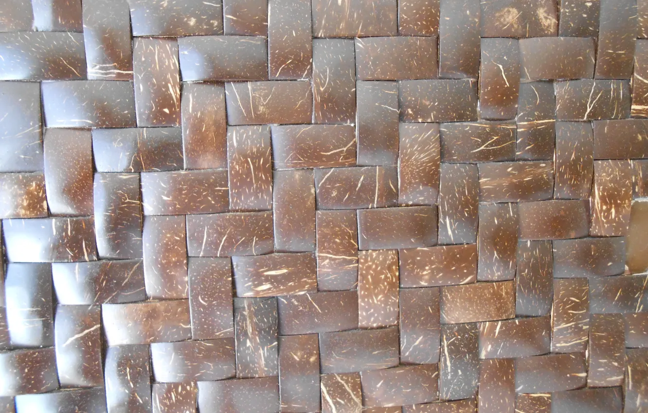 Photo wallpaper texture, netting, weave