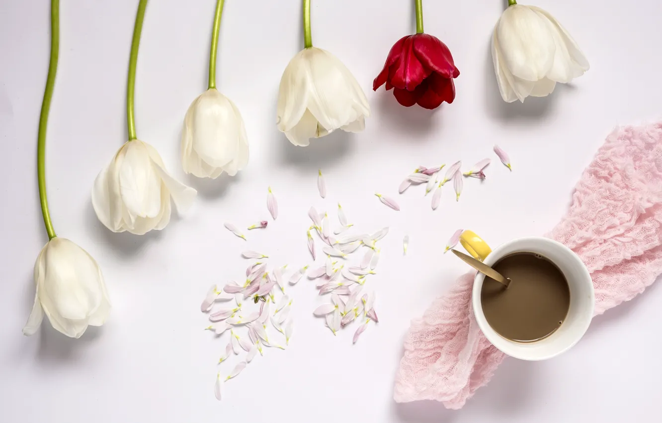 Photo wallpaper flowers, tulips, red, white, white, wood, flowers, cup