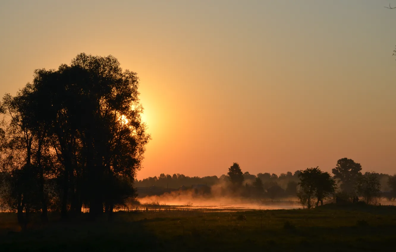 Photo wallpaper fog, morning, rasvet