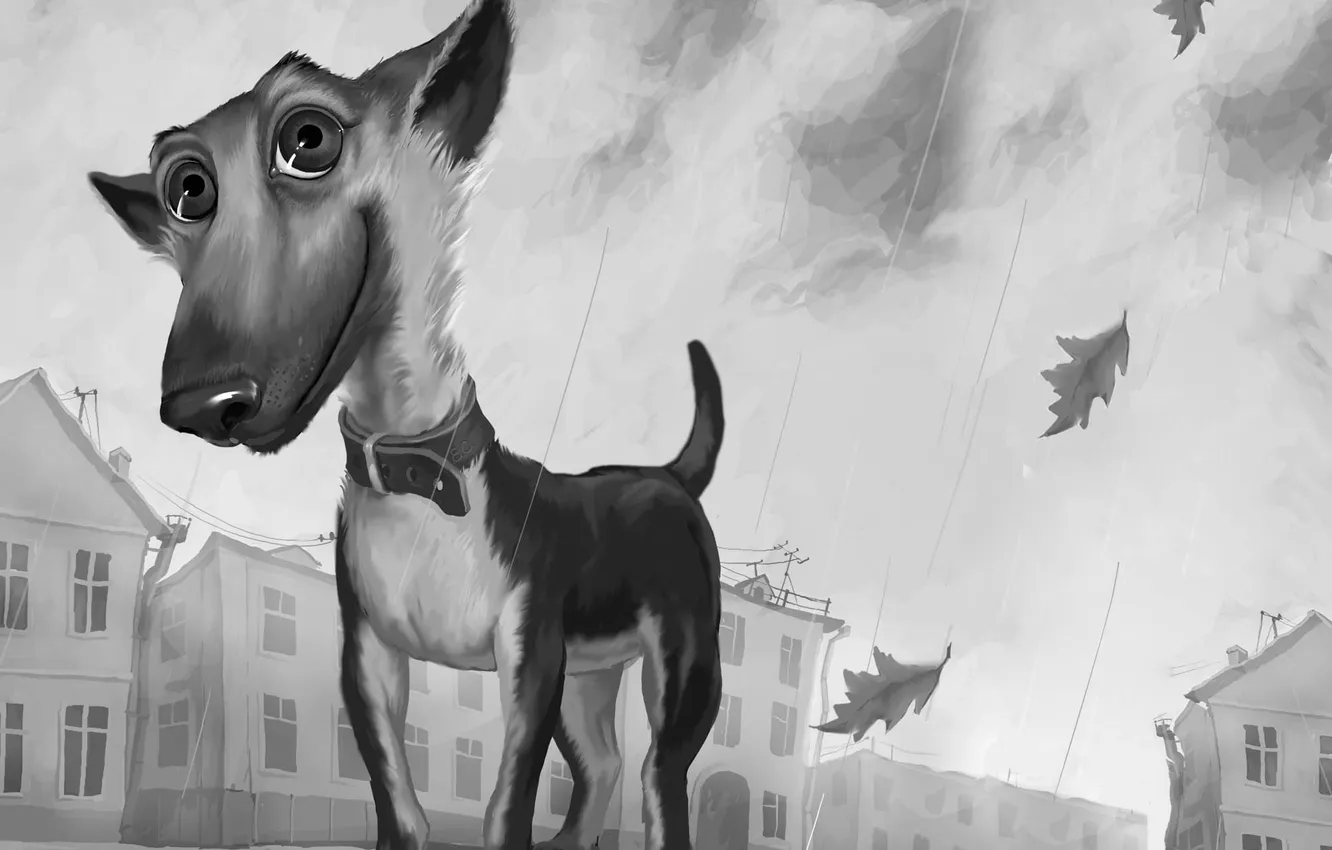 Photo wallpaper leaves, smile, grey, rain, dog