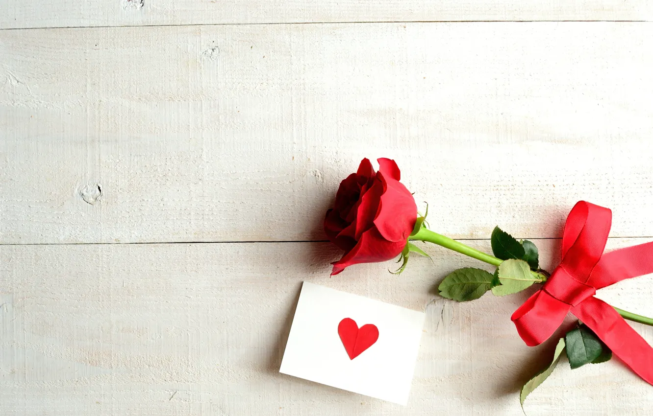 Photo wallpaper flower, rose, tape, heart, bow, postcard