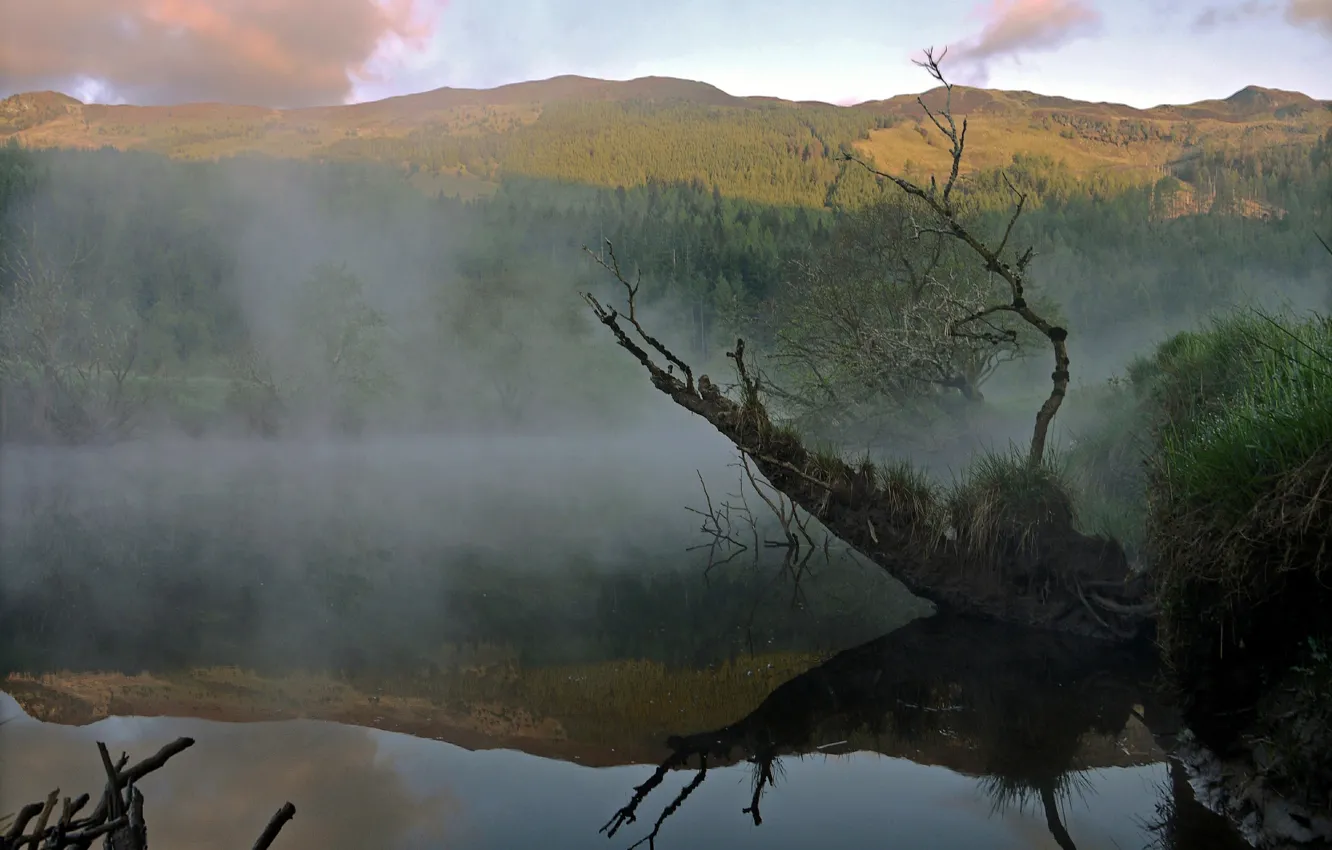 Photo wallpaper forest, mountains, fog, lake
