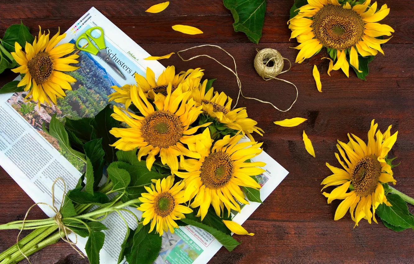 Photo wallpaper sunflowers, flowers, yellow, table, Board, bouquet, newspaper, scissors