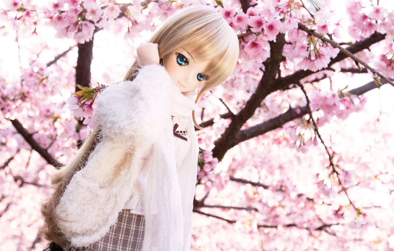 Photo wallpaper toy, doll, Sakura