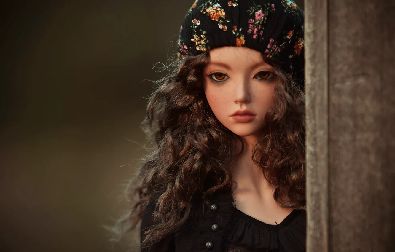 Photo wallpaper look, toy, doll