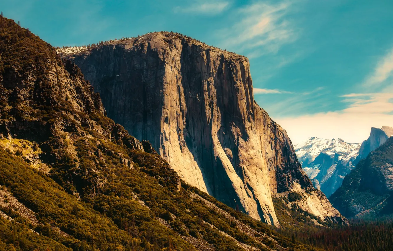 Photo wallpaper forest, trees, mountains, rocks, CA, gorge, USA, Yosemite