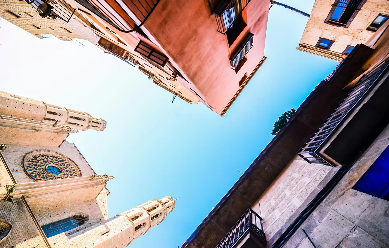 Photo wallpaper the sky, trees, home, window, architecture