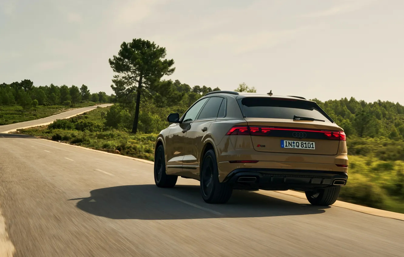 Wallpaper Audi, rear view, Q8, Audi Q8 2024 images for desktop, section